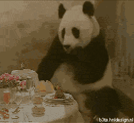 Panda.gif