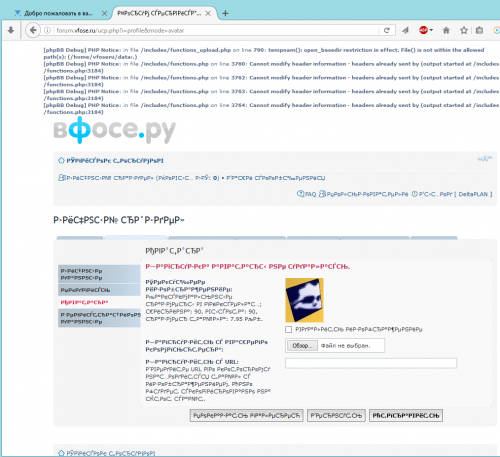 forum.vfose.ru.png