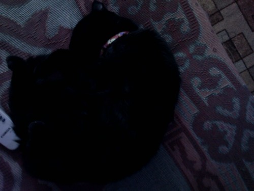 IMG0072A.jpg