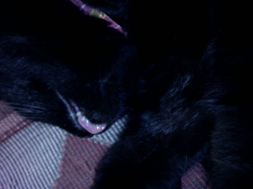 IMG0069A.jpg